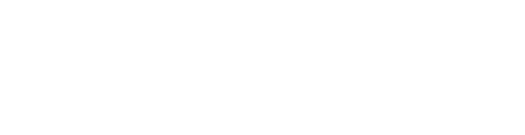 Rare Velvet Logo